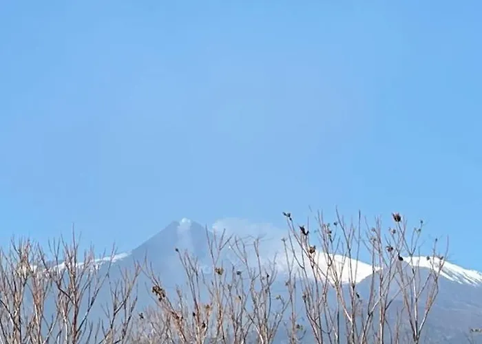 Charming Beachfront Retreat Villa