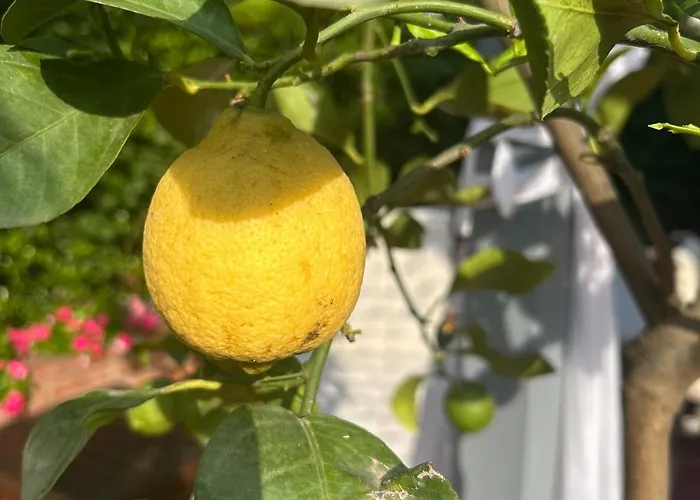 Charming Beachfront Retreat 别墅